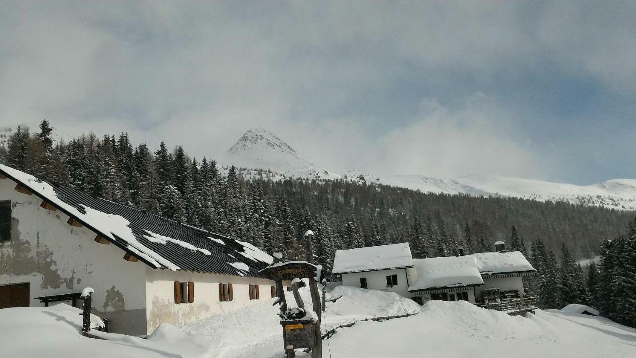 Balcone Sulle Dolomiti 2 Apartamento Dosoledo Exterior foto